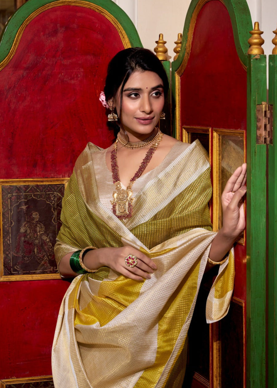 Festive Shine Zari Work Saree