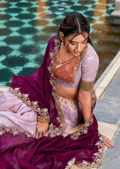 Designer Paithani Border Lehenga Set