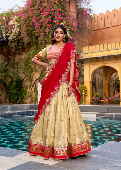 Designer Paithani Border Lehenga Set