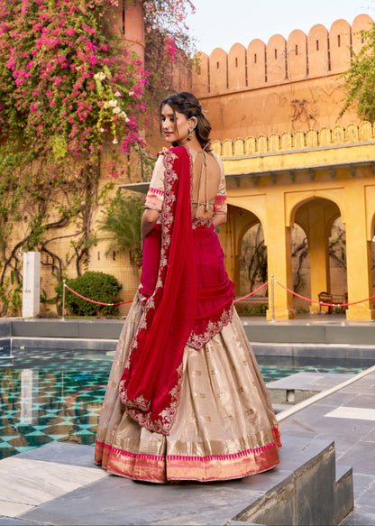 Designer Paithani Border Lehenga Set