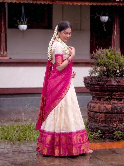 Timeless Traditional Lehenga Set
