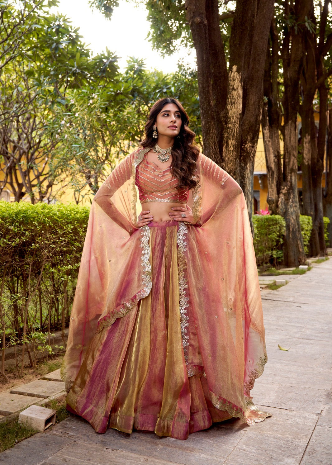 Soft Flowing Silhouette Lehenga Set