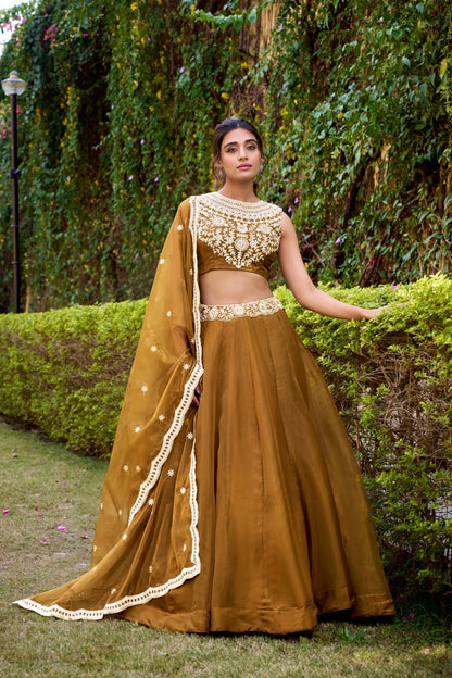 Ethereal Royal Chanda Silk Lehenga Sets