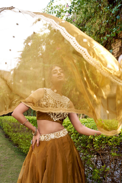 Ethereal Royal Chanda Silk Lehenga Sets