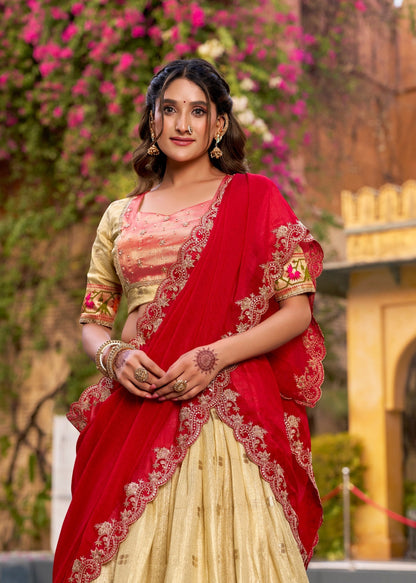 Designer Paithani Border Lehenga Set