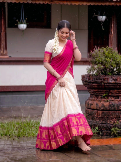 Timeless Traditional Lehenga Set