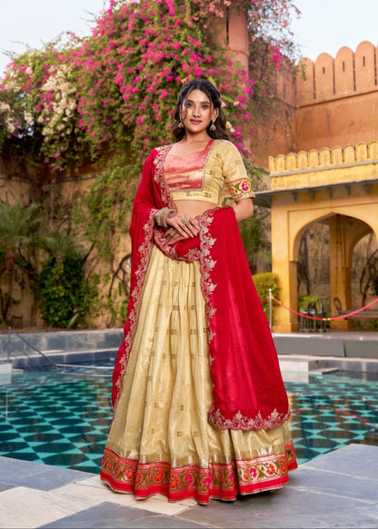 Designer Paithani Border Lehenga Set