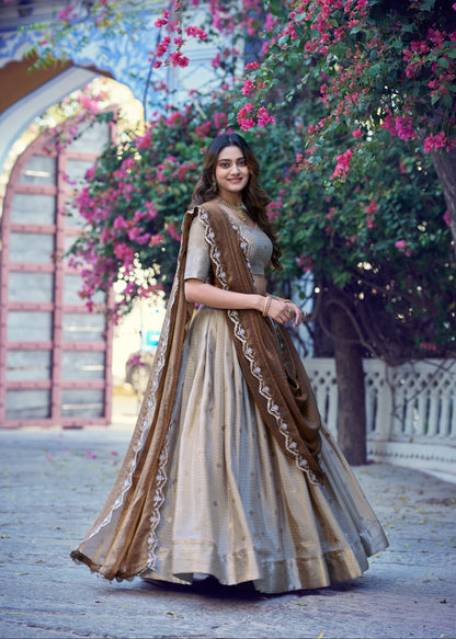 Nritya Chinon Zari Davani Collection