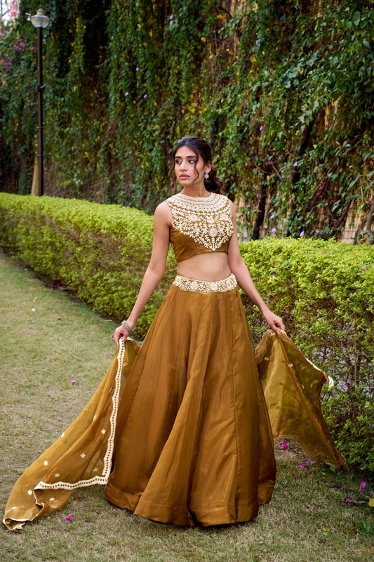 Ethereal Royal Chanda Silk Lehenga Sets