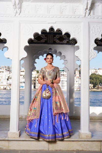 Soft Pastel Paithani Style Lehengha Choli