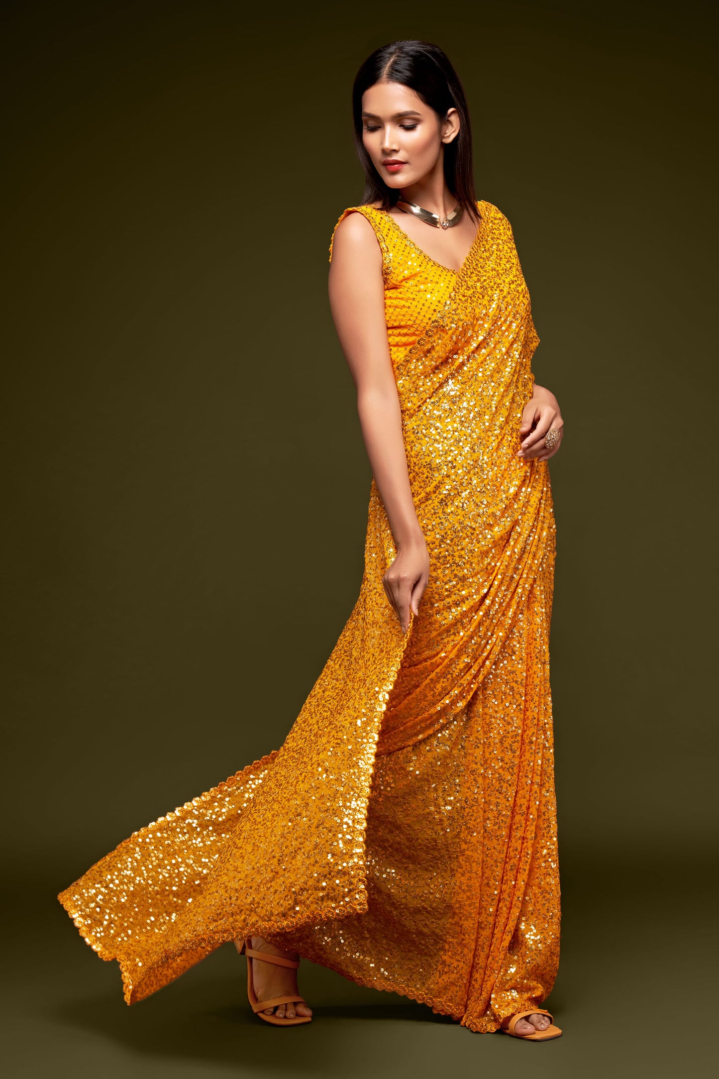 The Starlit Sarees