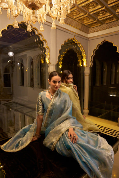 Soft Shimmer In Zari & Sequins Saree