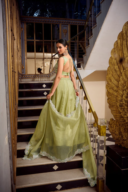 Softly Shining Gold Crush Lehenga Collection