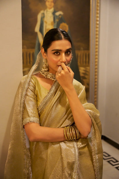 Soft Shimmer In Zari & Sequins Saree