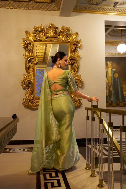 Soft Shimmer In Zari & Sequins Saree