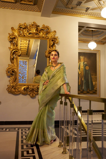 Soft Shimmer In Zari & Sequins Saree