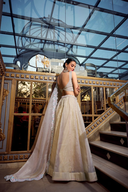 Softly Shining Gold Crush Lehenga Collection