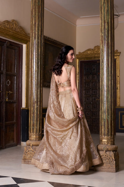 Royal Finish Brown Zari Lehenga