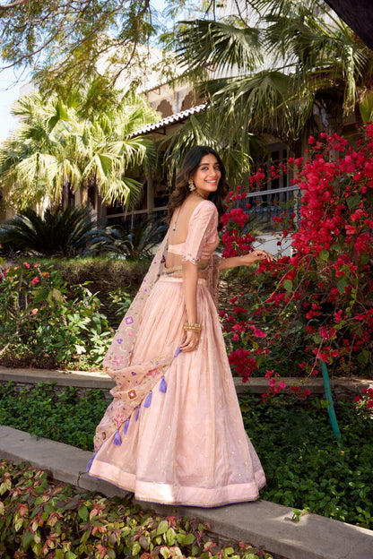 Soft Peach Gold Crush Lehenga Set