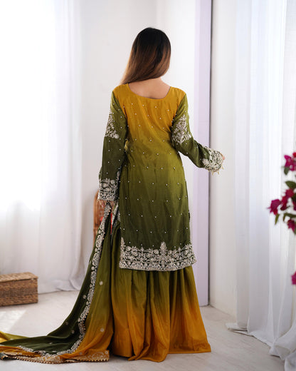 Graceful Dual Shaded Sharara Sets