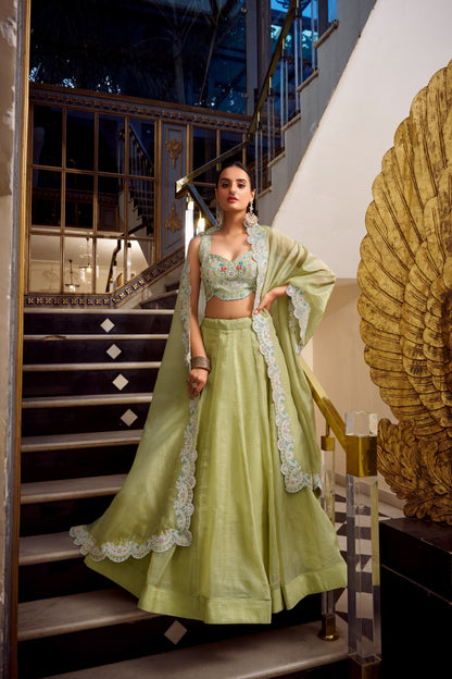Softly Shining Gold Crush Lehenga Collection