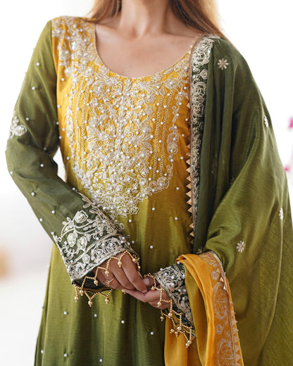Graceful Dual Shaded Sharara Sets