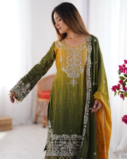 Graceful Dual Shaded Sharara Sets