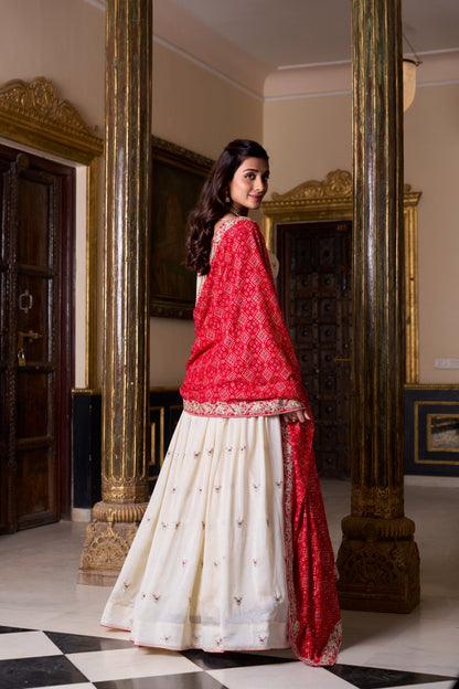 Subtle Shine Vichitra Silk Lehenga
